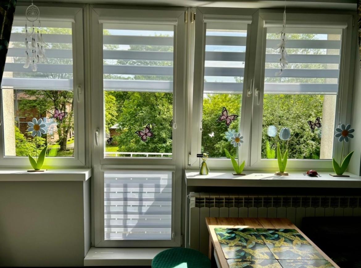 Studio Modlin Nowy Dwór Mazowiecki Екстериор снимка